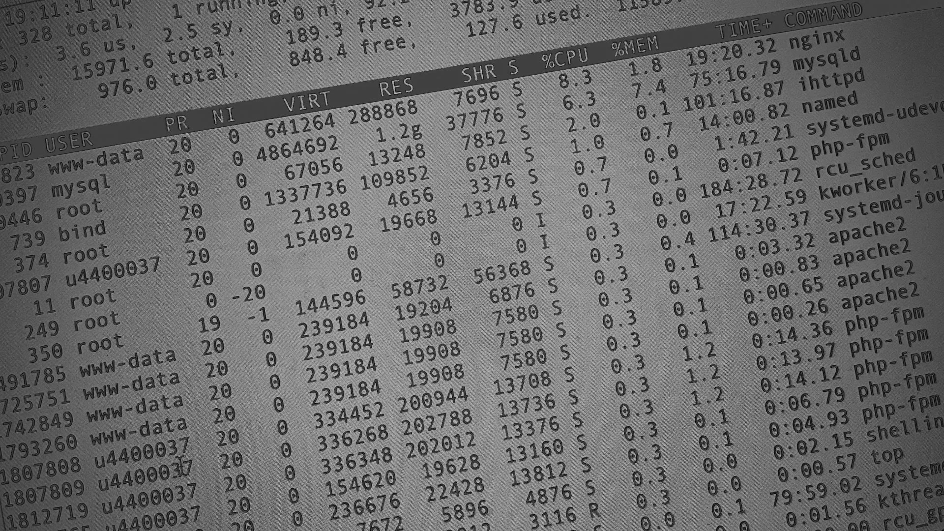 Настройка сервера в Лузе