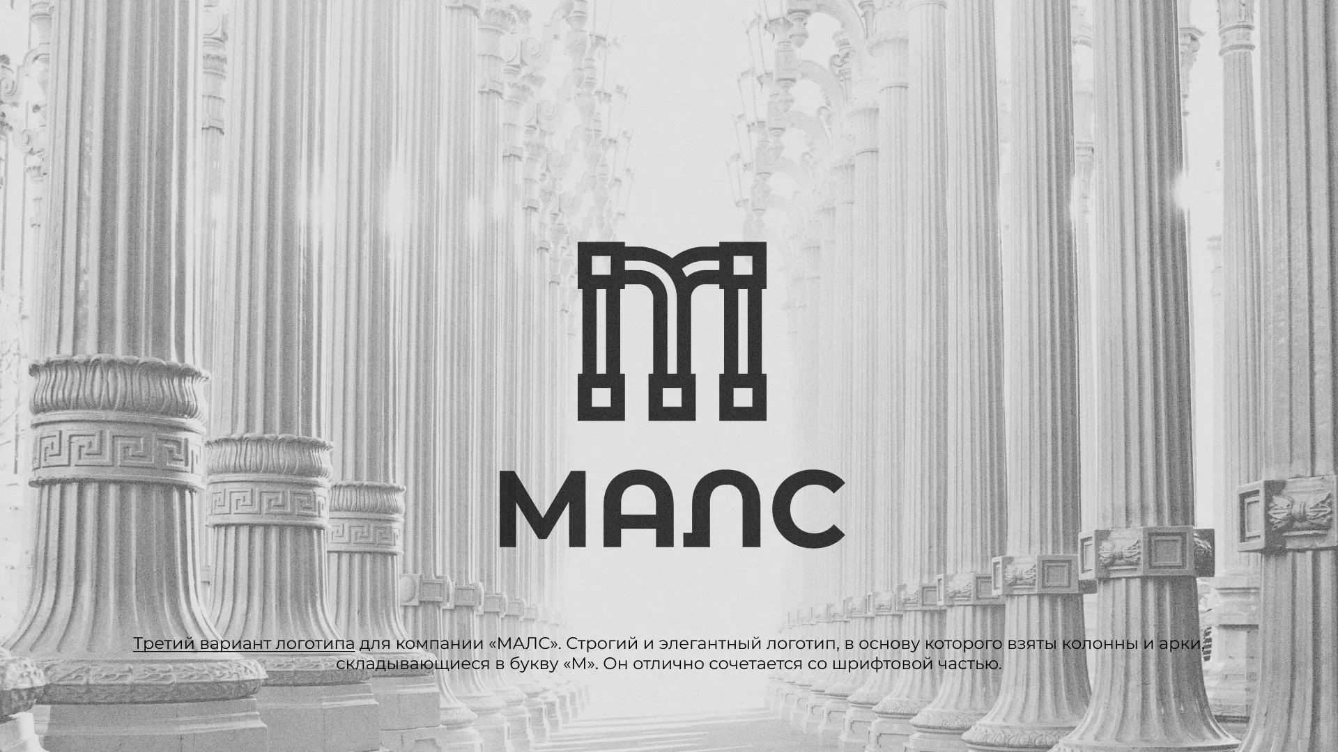 Разработка логотипа компании «МАЛС» в Лузе