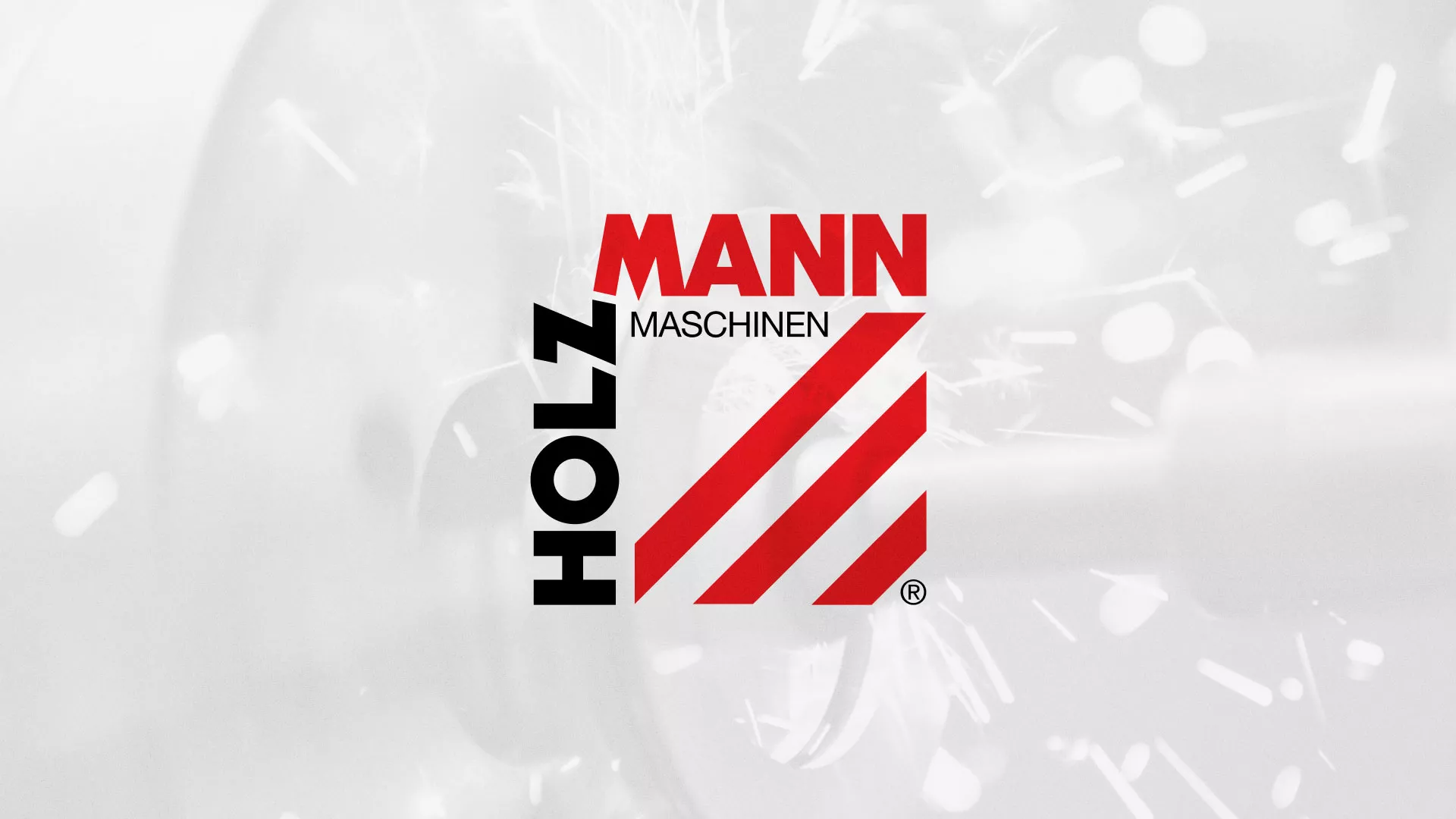 Создание сайта компании «HOLZMANN Maschinen GmbH» в Лузе